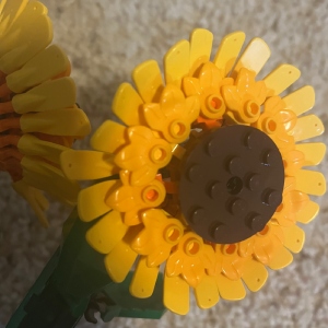 Sunflowers image 1