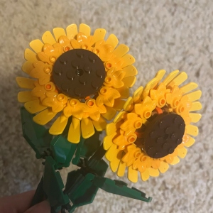 Sunflowers image 2