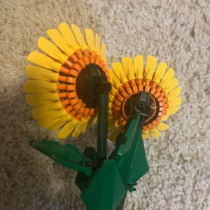 Sunflowers image 3